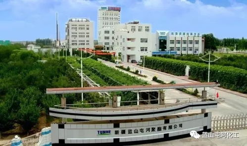 聚酯公司榮膺自治區綠色工廠稱號 以技術引領，鑄就綠色可持續發展新標桿